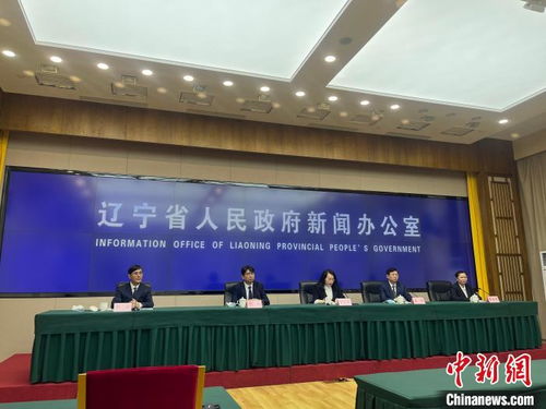 遼寧擘畫(huà)縣域經(jīng)濟(jì)新藍(lán)圖 2025年綜合實(shí)力與發(fā)展活力躍升，經(jīng)濟(jì)信息咨詢賦能關(guān)鍵路徑