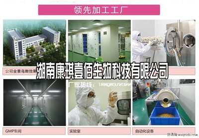 專業燕麥麩代餐粉代工服務 從研發到貼牌的全程解決方案